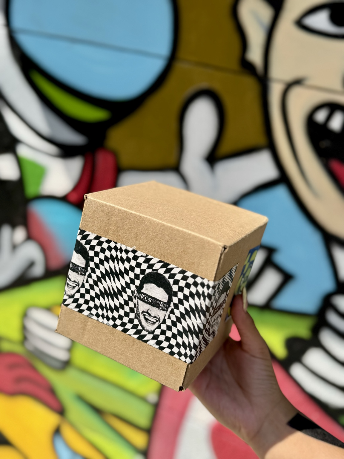 Mystery Box - Caja Chica
